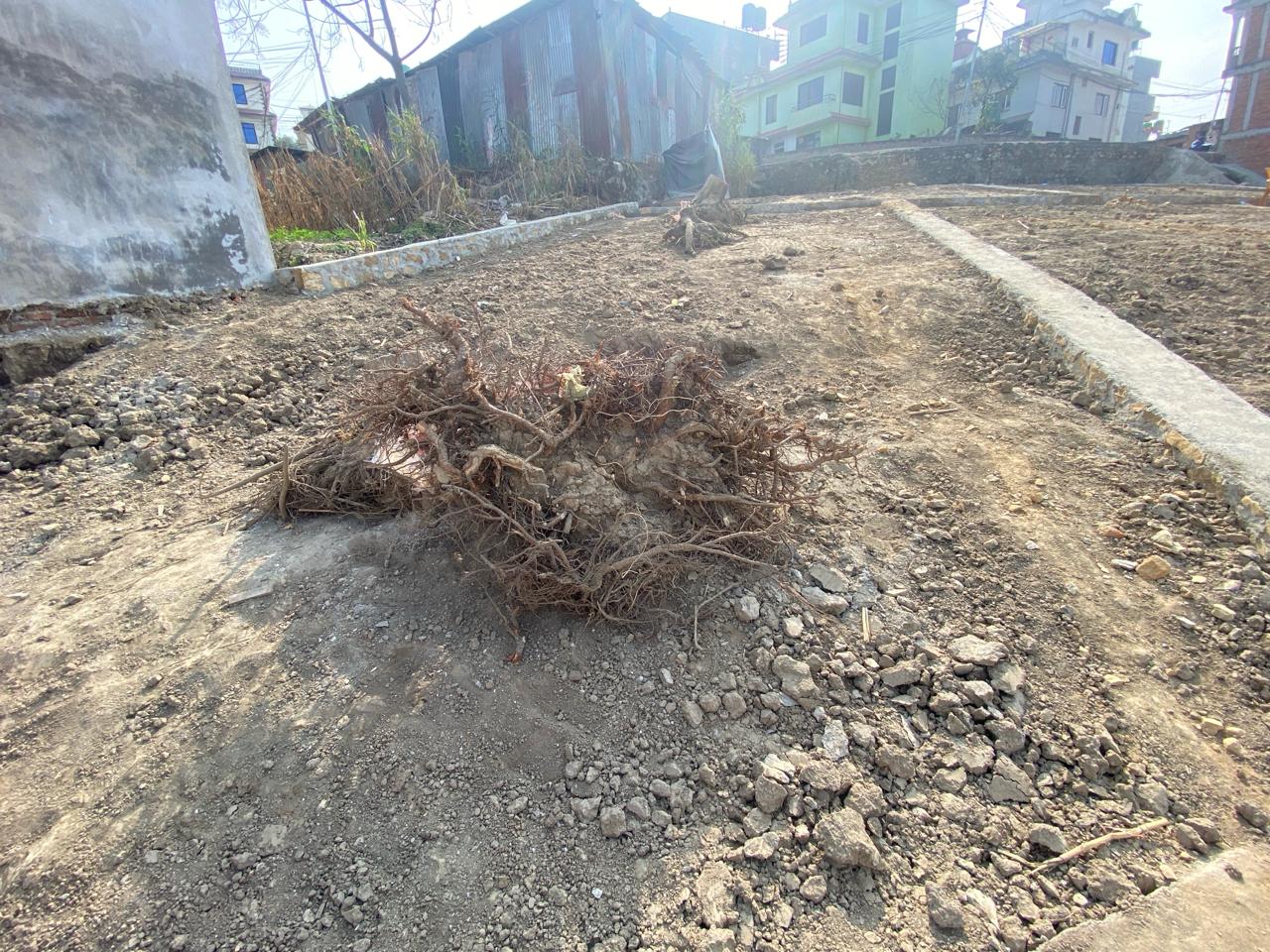 Picture of Mahalaxmi Municipality, Bagmati
